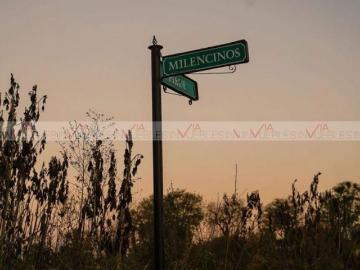 Terreno / Lote en venta en Lerdo De Tejada