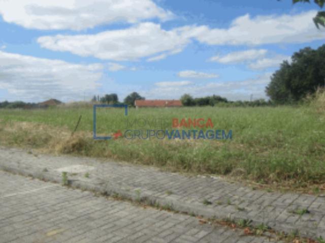 Terreno Lote Habitação | Coimbra | 19.000 €