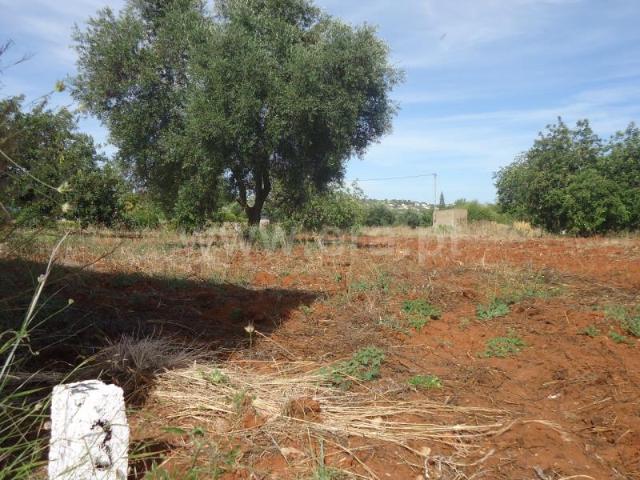 Terreno, Loulé São Clemente, Loulé | BPI Expresso Imobiliário
