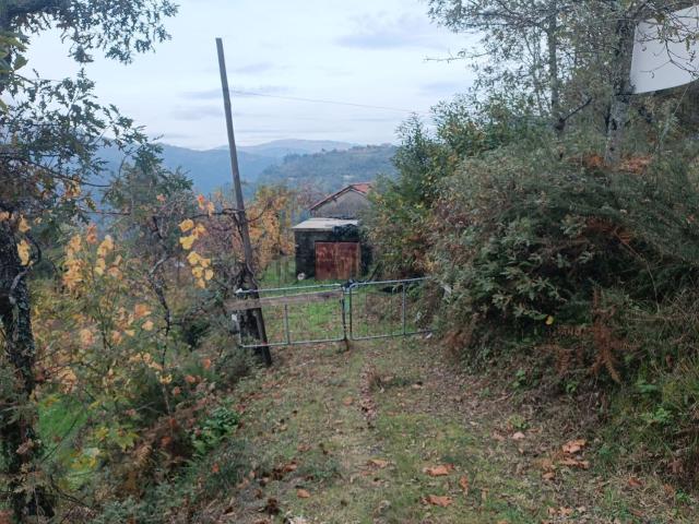 Terreno, Louredo