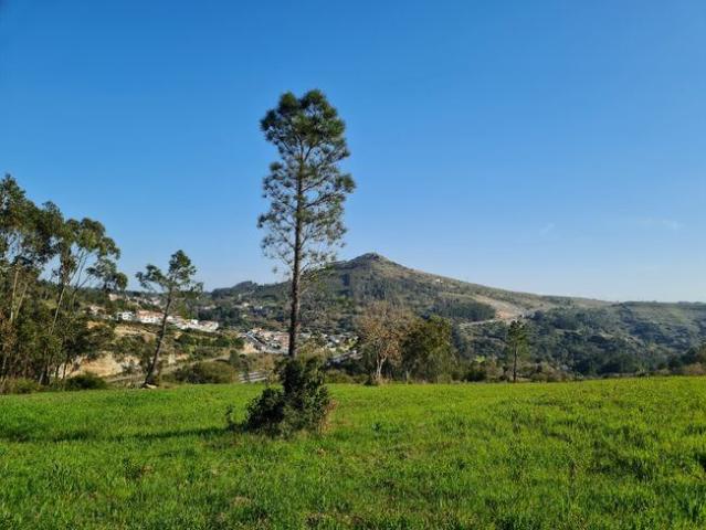 TERRENO LOUSA LOURES