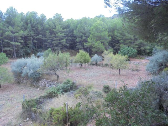 Terreno, Puebla Tornesa