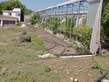 Terreno Pueblo El Lencero