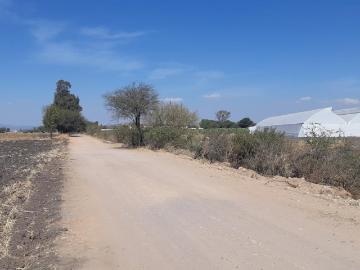 VENTA | Terreno 5 ha. con riego por goteo | titulo de propiedad