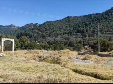 Terreno Pueblo La Estanzuela