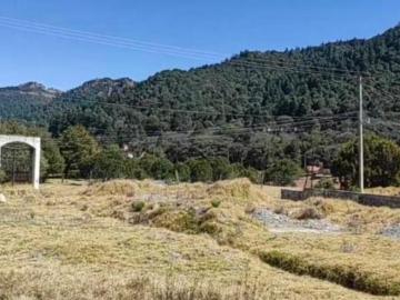 Terreno Pueblo La Estanzuela