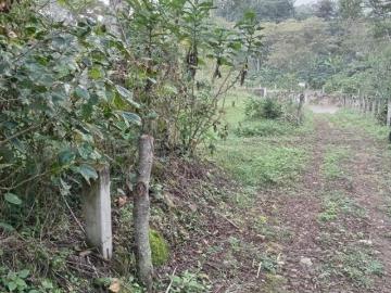 Terreno Pueblo San Marcos de Leon