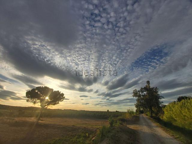 Terreno, Puigverd de Lleida