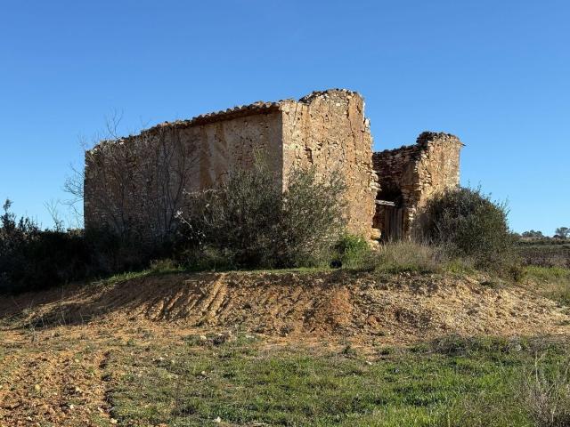Terreno, Puigpelat