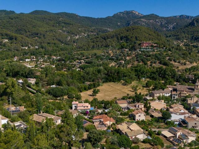 Terreno, Puigpunyent