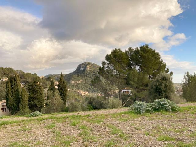 Terreno, Puigpunyent