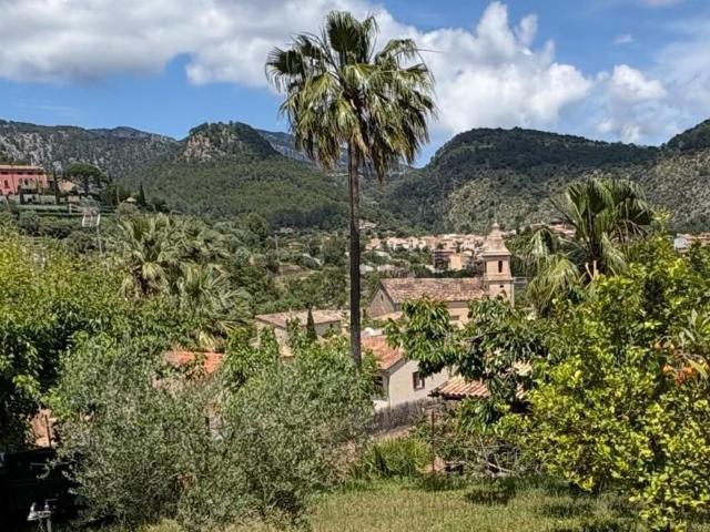 Terreno, Puigpunyent