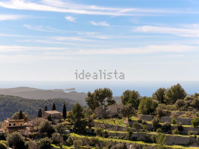 Terreno, Puigpunyent
