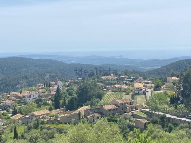 Terreno, Puigpunyent