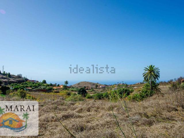 Terreno, Puntagorda