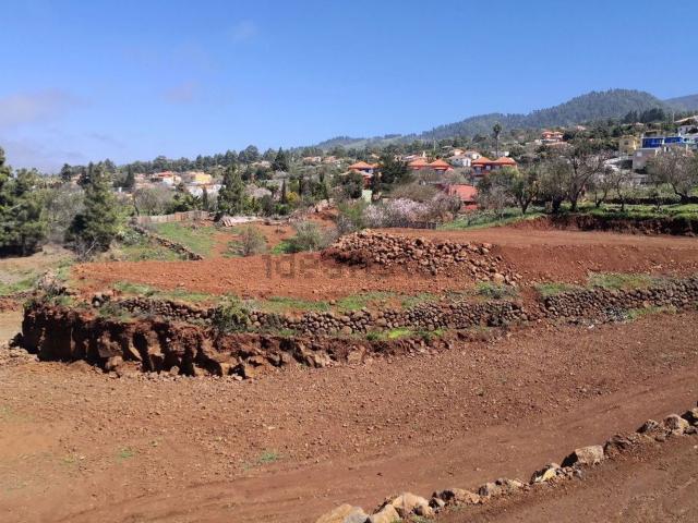 Terreno, Puntagorda