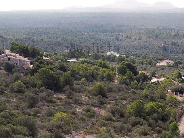 Terreno, Puntiró, Palma de Mallorca
