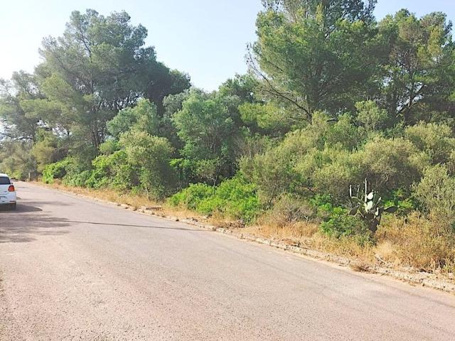 Terreno, Puntiró, Palma de Mallorca
