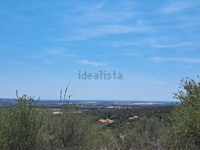 Terreno, Puntiró, Palma de Mallorca