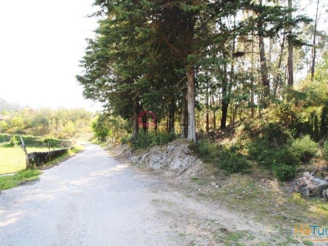 Terreno p/ Construção ? Oliveira de Frades | 26083393587