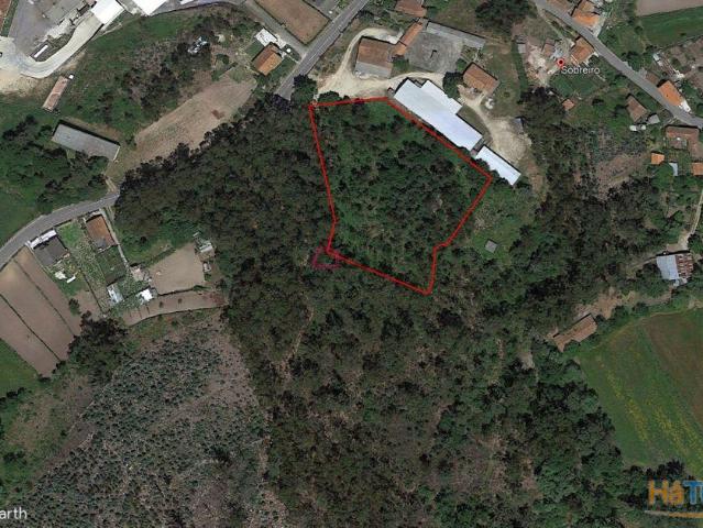 Terreno p/ construção ? Oliveira de Frades | 26084072523