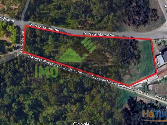 Terreno p/ construção em Guisande 5500 m2 | 26064059561