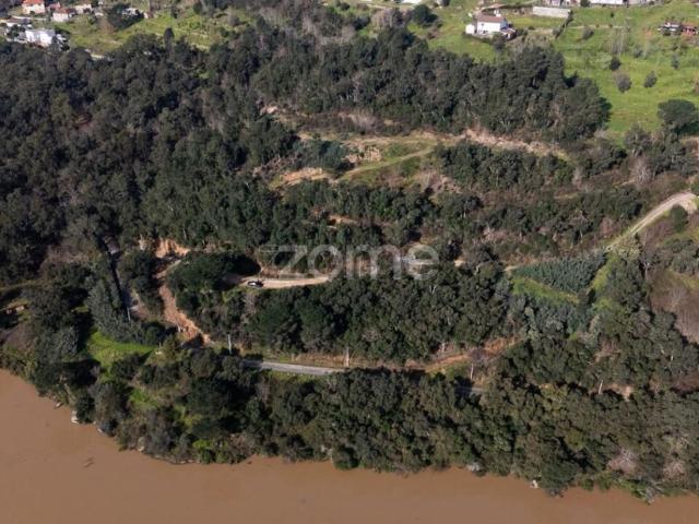 Terreno, Paços de Gaiolo