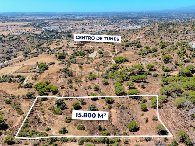 Terreno, Paderne