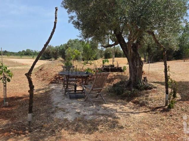 Terreno, Paderne