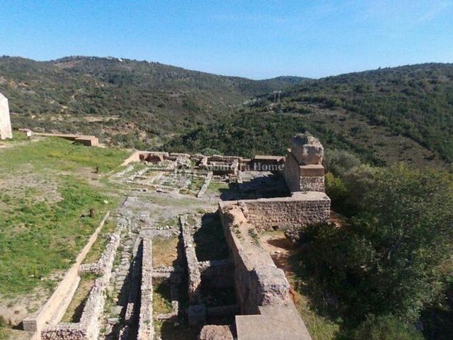 Terreno, Paderne