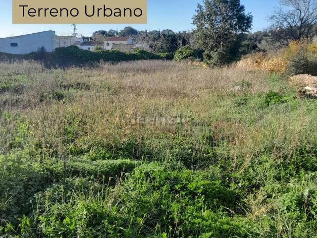 Terreno, Paderne