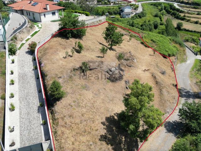 Terreno, Padronelo