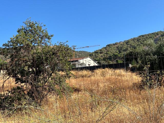 Terreno, Padul