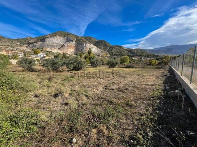 Terreno, Padul