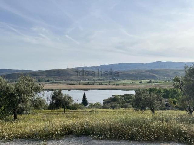 Terreno, Padul