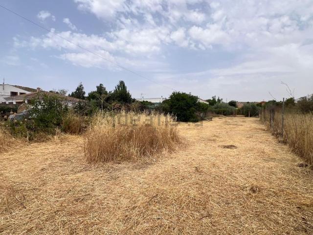 Terreno, Padul