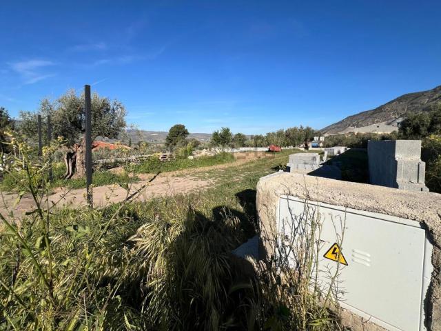 Terreno, Padul