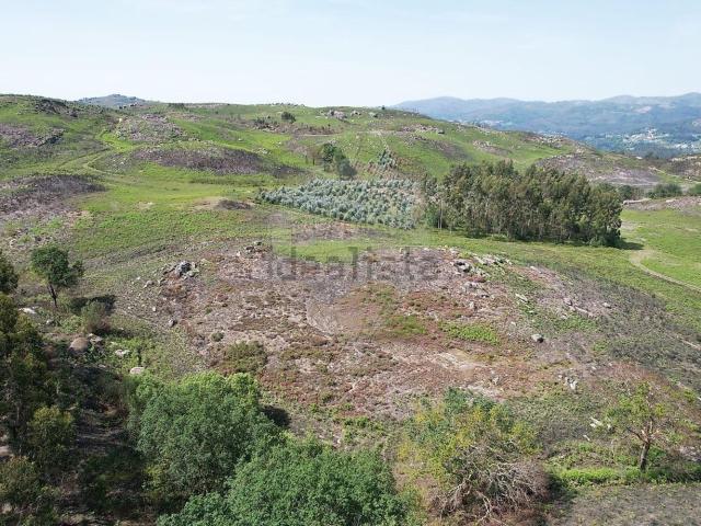 Terreno, Painzela