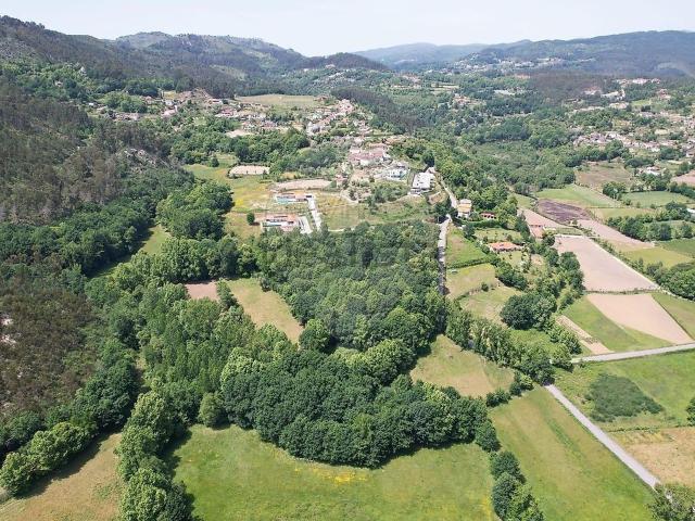 Terreno, Painzela