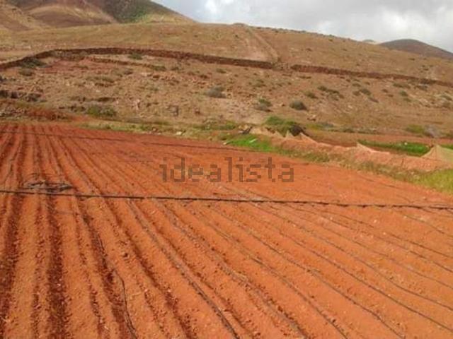 Terreno, Pajara