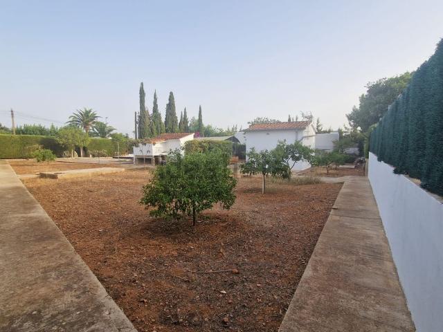 Terreno, Palmanyola