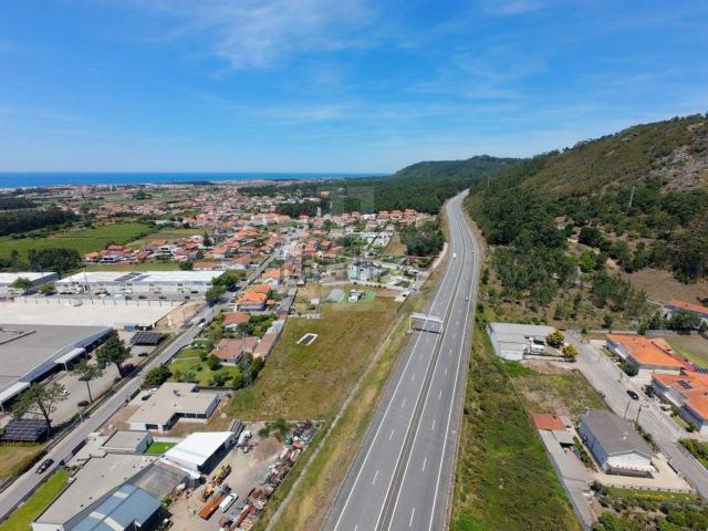 Terreno, Palmeira de Faro