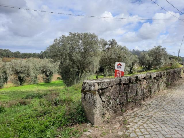 Terreno, Palmeira de Faro