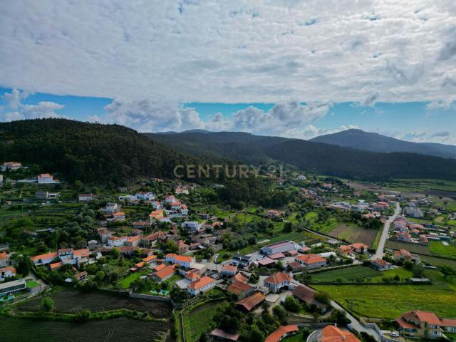 Terreno, Curvos
