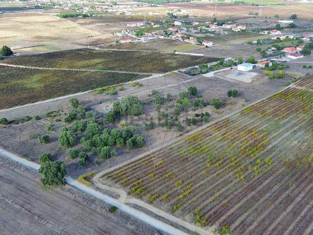 Terreno, Palmela