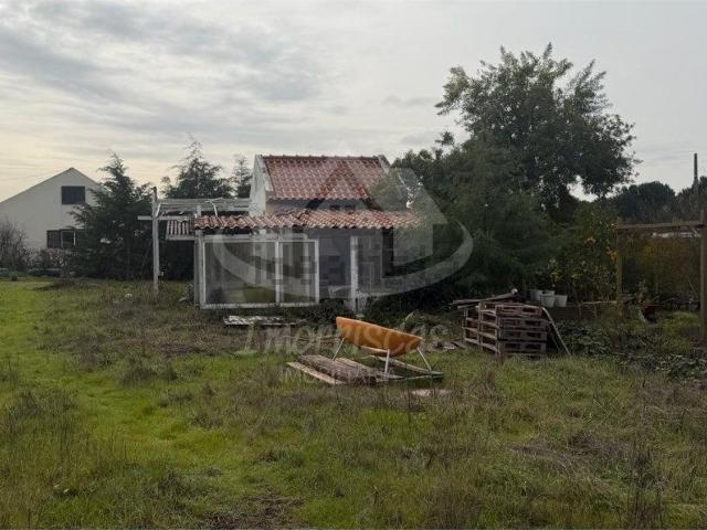 Terreno, Palmela