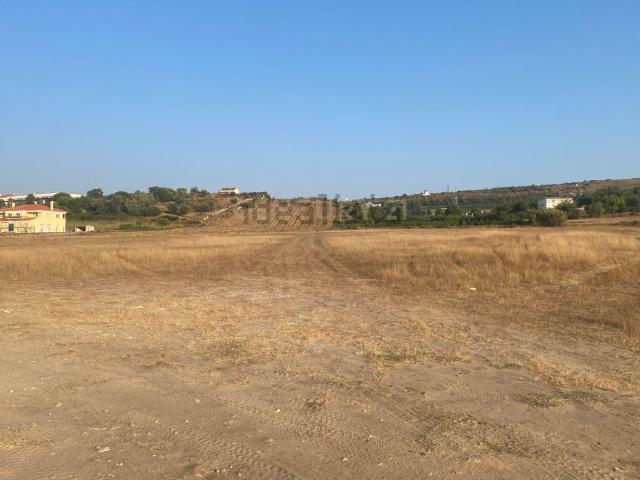 Terreno, Palmela