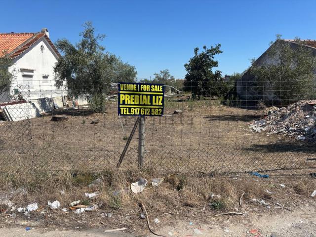 Terreno, Palmela