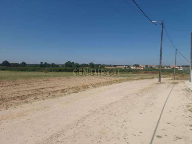 Terreno, Palmela