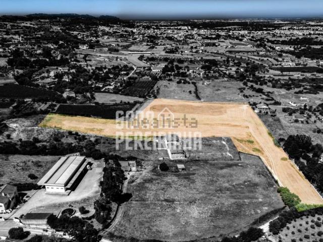 Terreno, Palmela